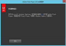 Windows Server 2016、2019顯示啟用Flash